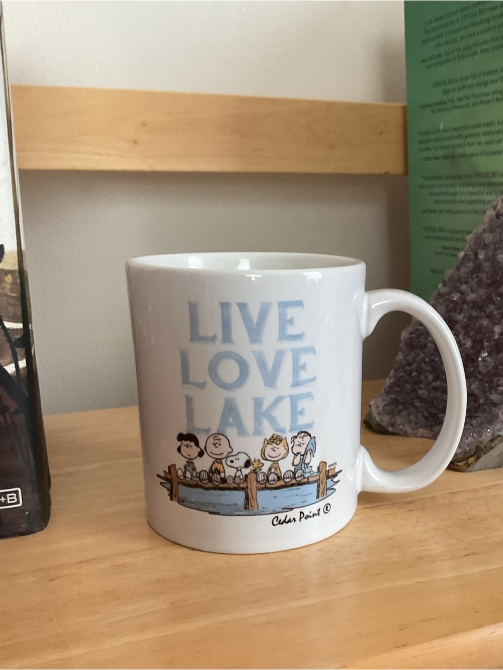 PEANUTS “Live Love Lake” Mug Featuring the Peanuts Gang Sitting on the Dock